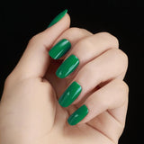 10ML Led & UV Nails Gel Quick Dry