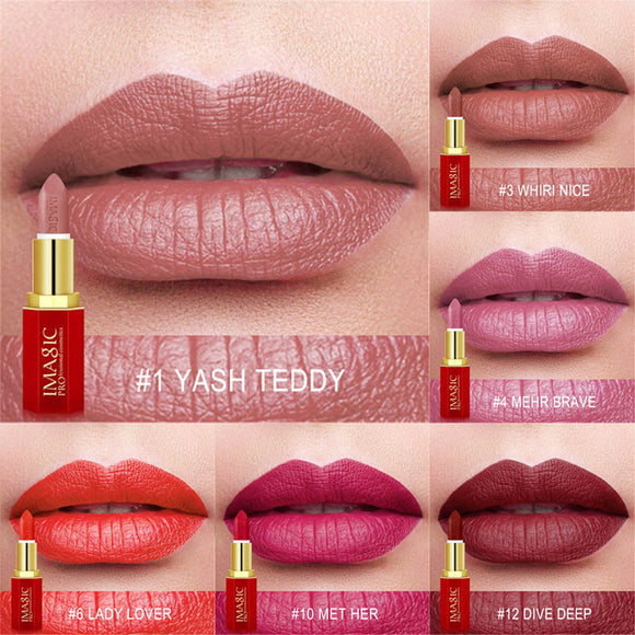 12 Color Lips Make up Lipstick